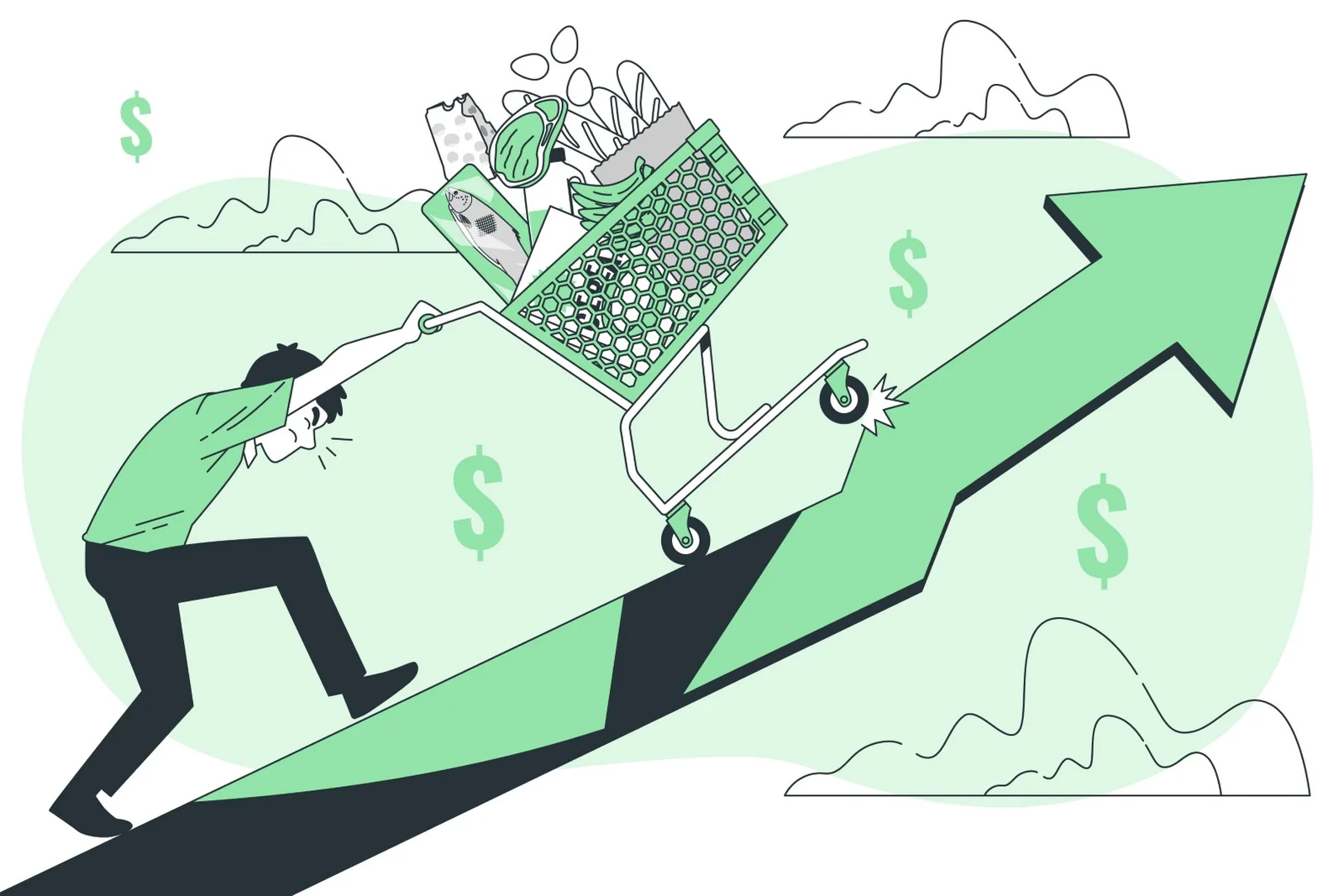 Inflation and the Shrinking Food Products: Is It Fair to Consumers?